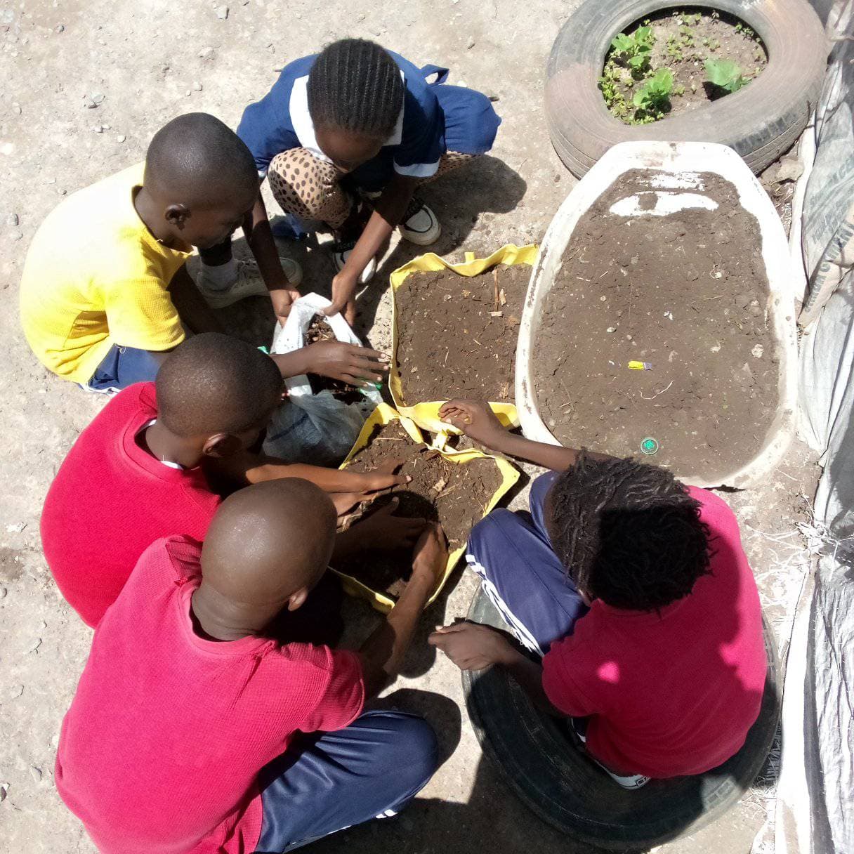 Farm Club (Hands-on)